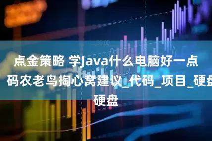 點金策略 學Java什么電腦好一點？碼農老鳥掏心窩建議_代碼_項目_硬盤